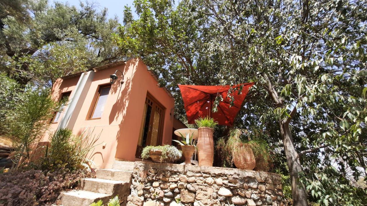 Maroc Lodge Atlas Mountain Retreat อมิซมิซ ภายนอก รูปภาพ