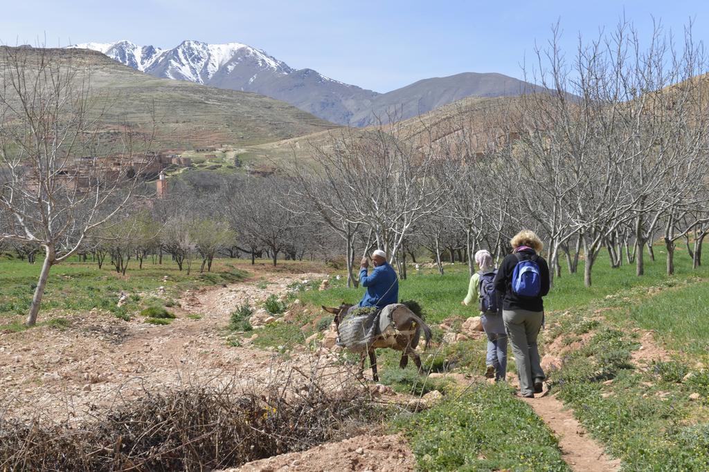 Maroc Lodge Atlas Mountain Retreat อมิซมิซ ภายนอก รูปภาพ