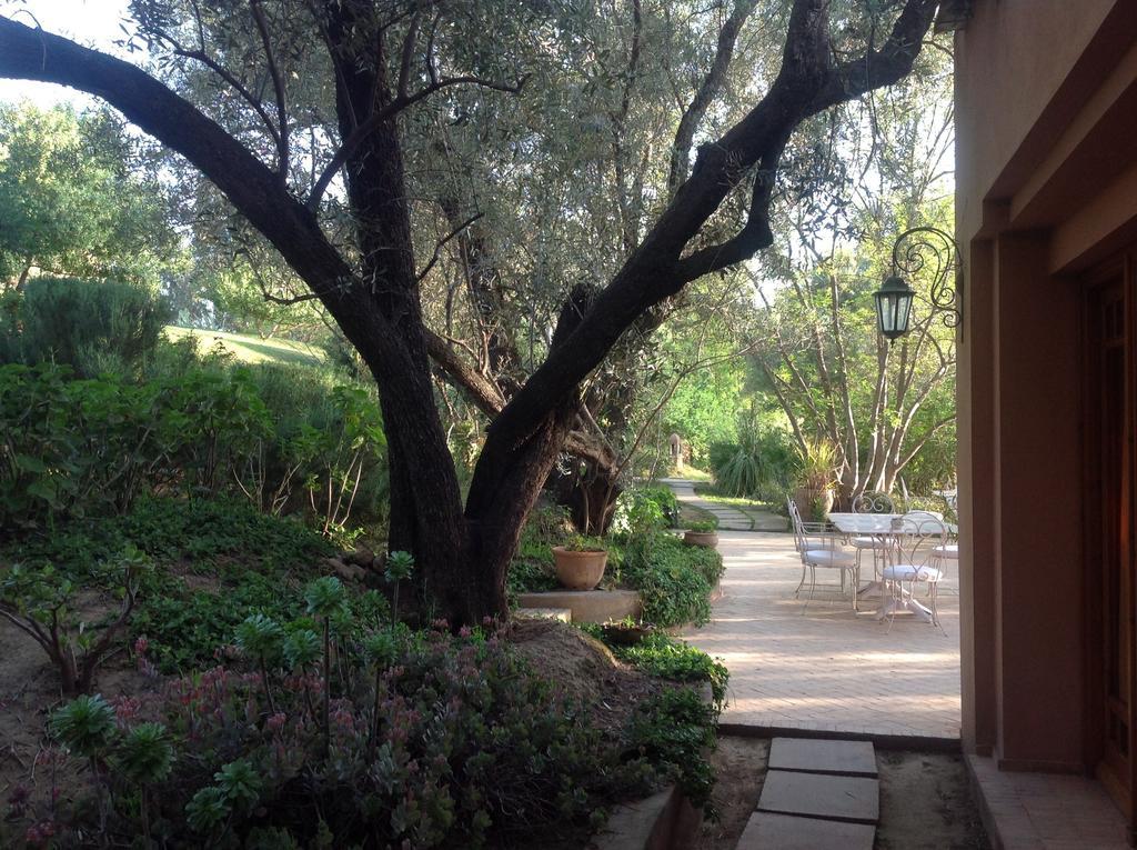 Maroc Lodge Atlas Mountain Retreat อมิซมิซ ภายนอก รูปภาพ